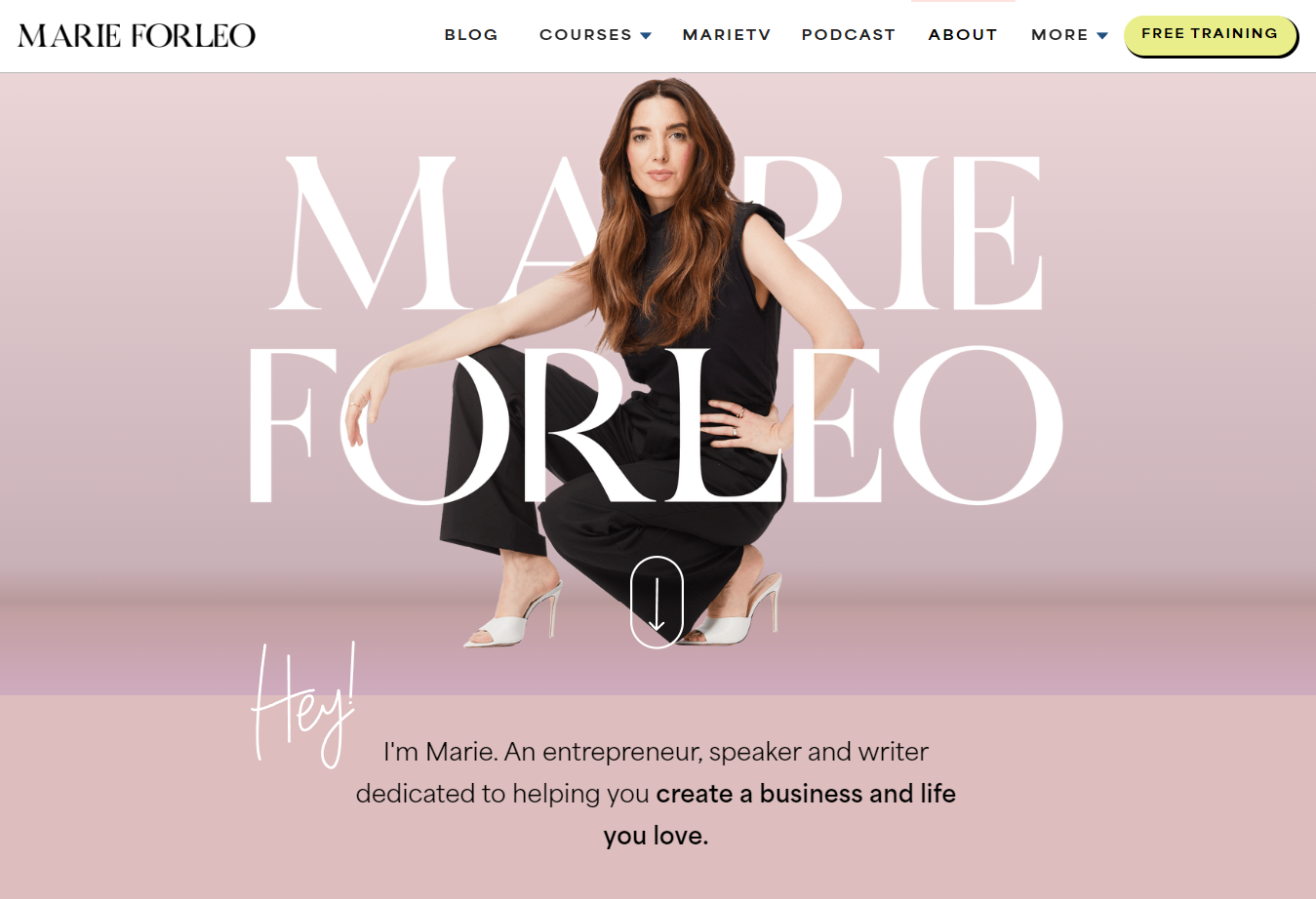 Social Entrepreneurship Strategies With Software and Marketing