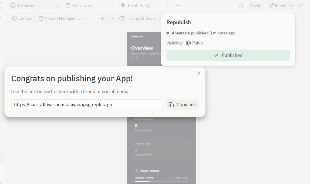 Publish replit project